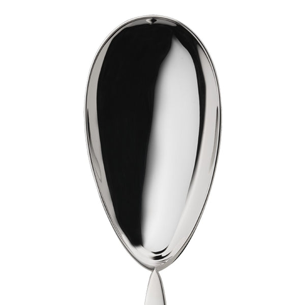 Silver-plated serving spoon from the 12 collection close-up