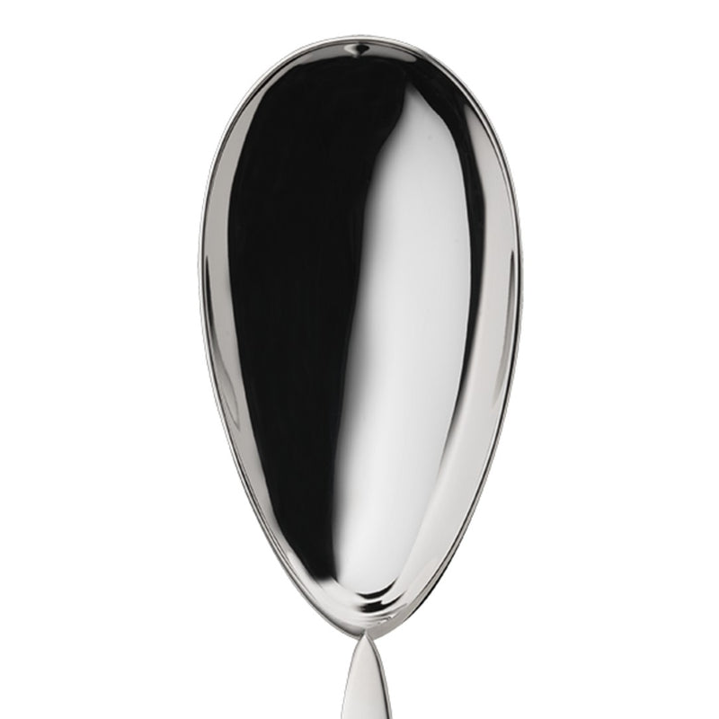 Silver-plated serving spoon from the 12 collection close-up