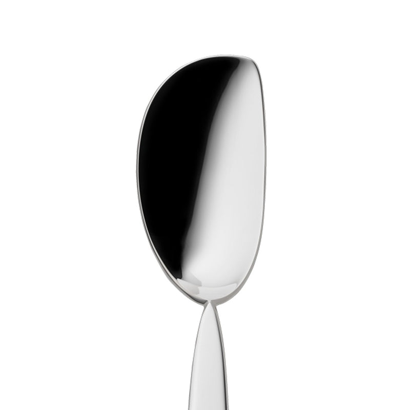 Silver-plated gourmet spoon from the 12 collection close-up