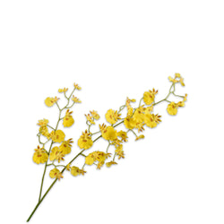 Silk Orchid Spray in Yellow by Silk-ka