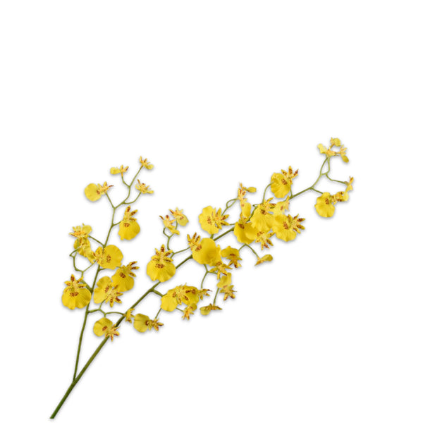 Silk Orchid Spray in Yellow by Silk-ka