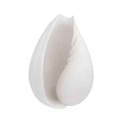 Faux Conch Shell in Off-white | Small