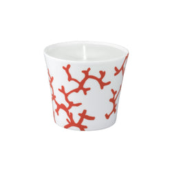 Candle in a Gift Box - Cristobal Rouge