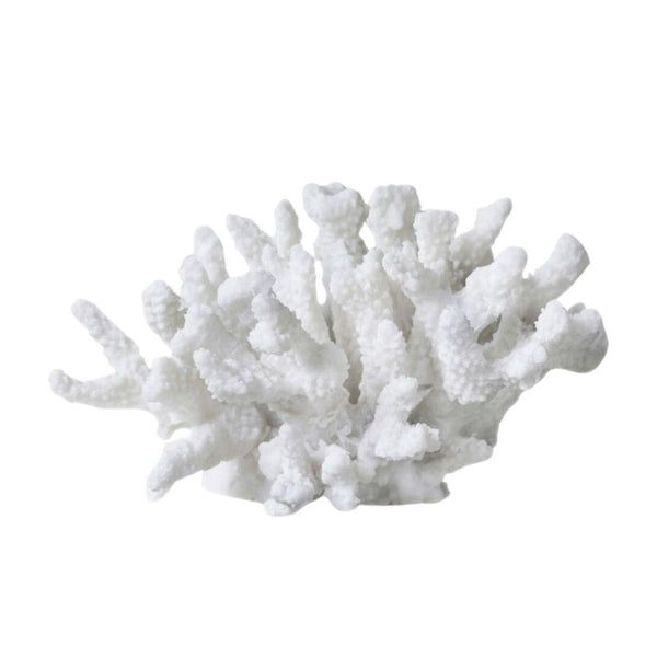 Faux Coral With Branches in White | Large