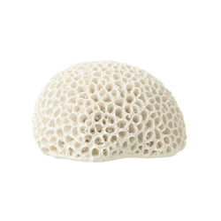 Polyresin Round Coral in White