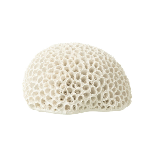 Polyresin Round Coral in White