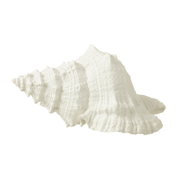 Polyresin Seashell in White