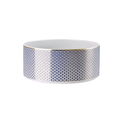 Salad Bowl Blue by Rosenthal
