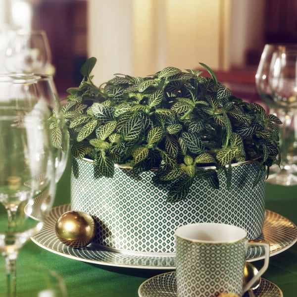 Amiramour Salad Bowl - Francis Carreau Green by Rosenthal 2