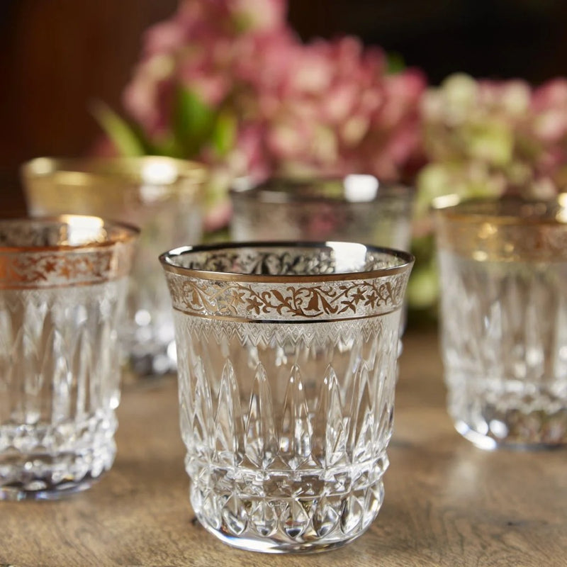 Amiramour Viktoria Small Tumbler by Cristallerie de Montbronn LF