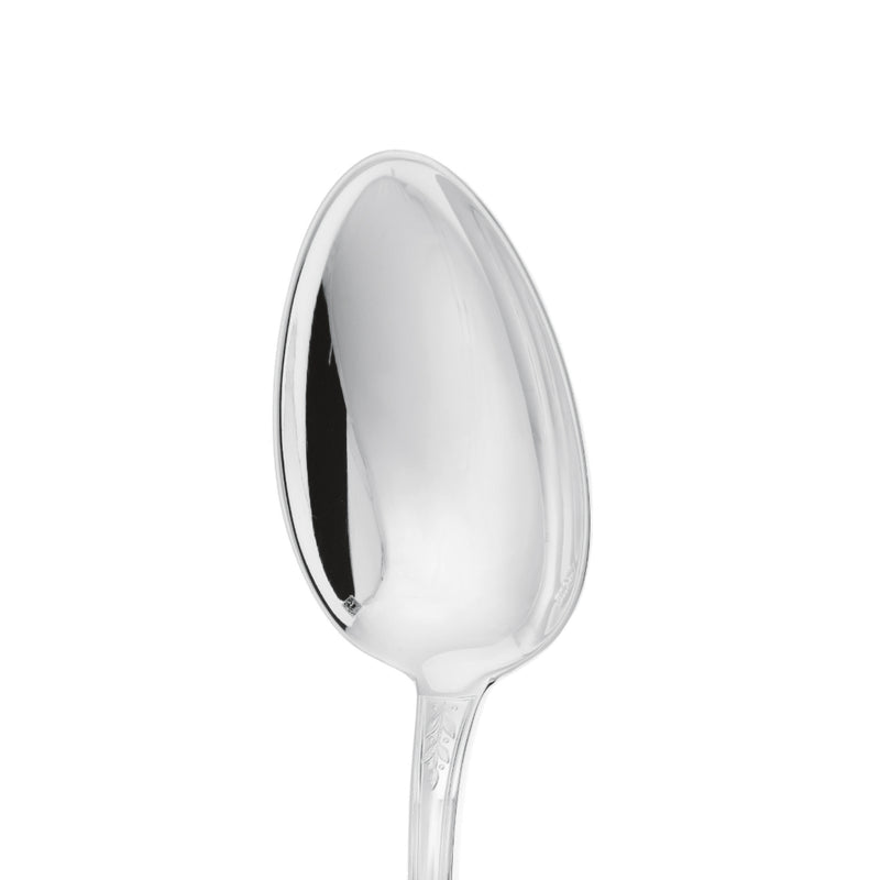 Place Spoon Lauriers Silver Plated close-up on its bowl.