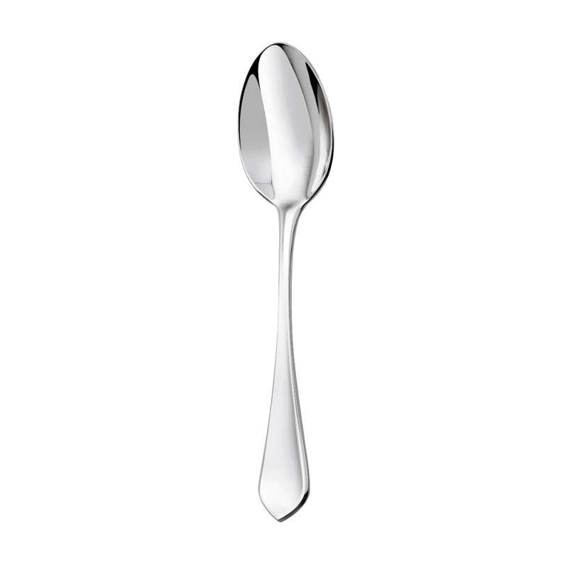 Serving spoon Citeaux by Ercuis in stainless steel with curved bowl and elongated handle.