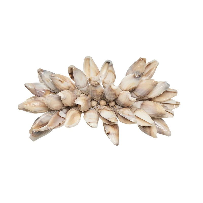 Top view of Shell Fringe Napkin Ring with acrylic shells by Kim Seybert