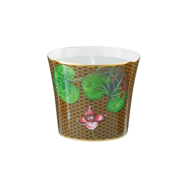 Porcelain candle with asarum motif Trésor Fleuri collection Raynaud