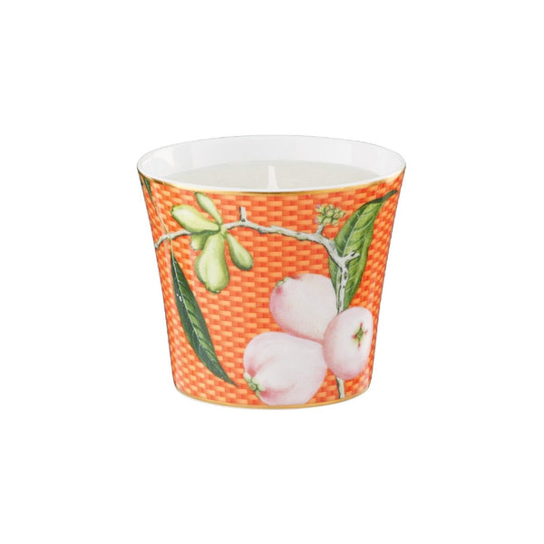 Porcelain candle with water apple motif Trésor Fleuri collection Raynaud