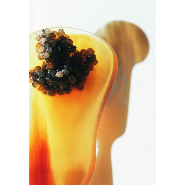 Styled Caviar Spoon Dante Horn and Silver-Plated by Robbe & Berking