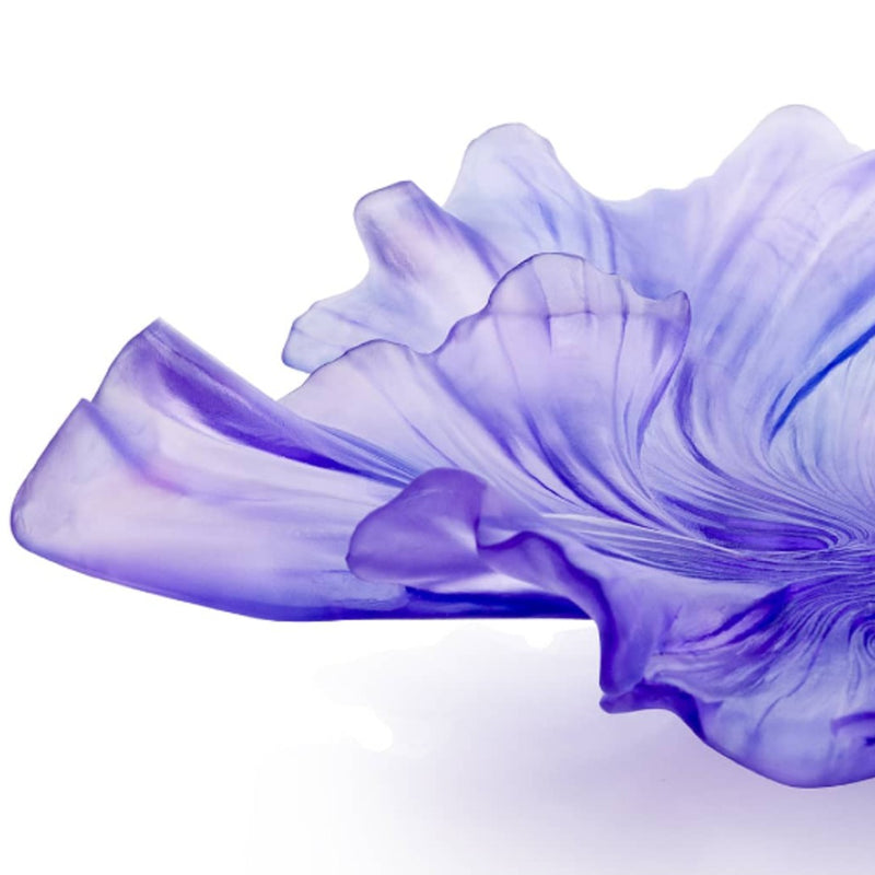 Purple flower on a white background