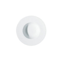 A white porcelain deep plate with a wide rim.