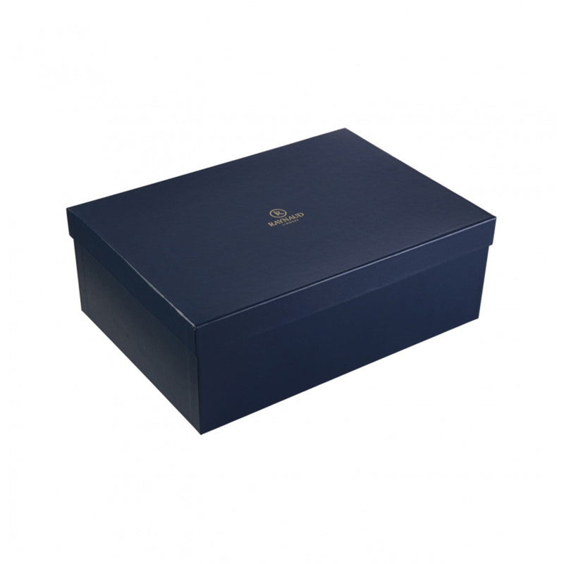 Blue box with Raynaud brand logo on a white background