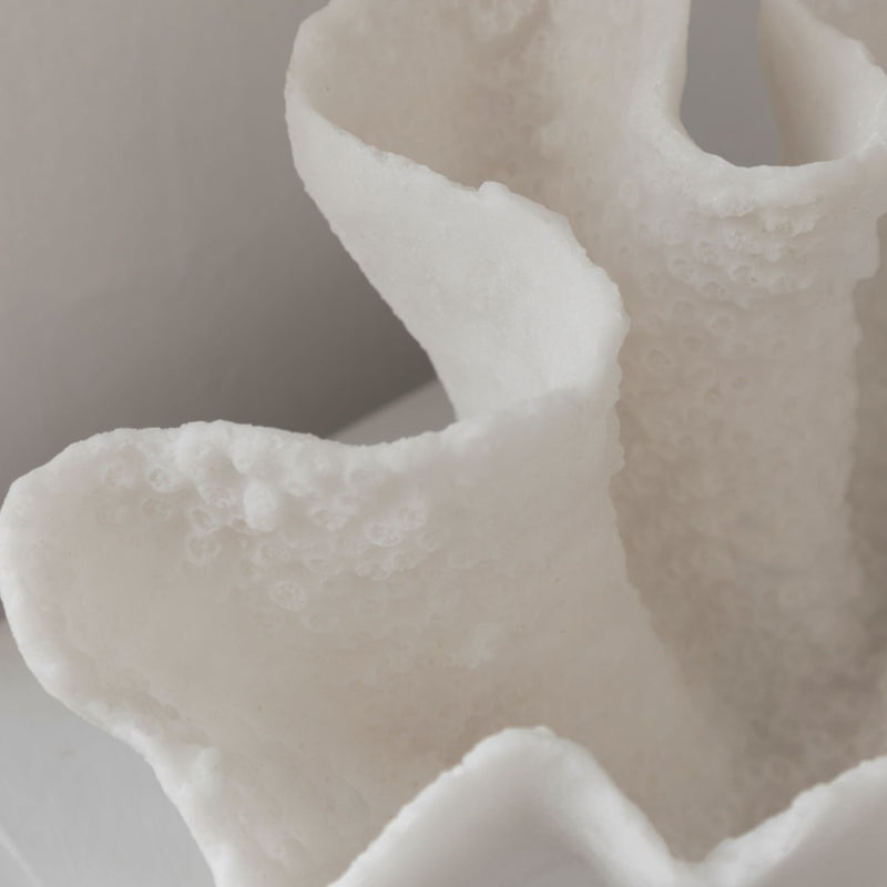 Close-up of a textured coral look alike bowl decor with a neutral background