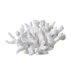 White coral-like decorative object on a white background