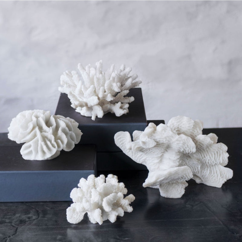 White coral sculptures on black stands against a gray background
