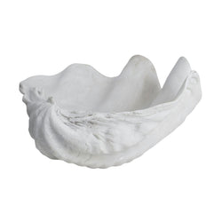 Small white faux shell decorative accent for coastal interiors