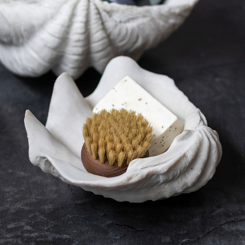 Small white faux shell decorative accent for shaving accessories