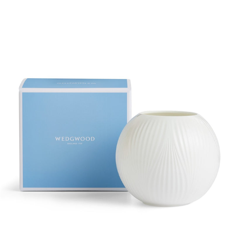 White ribbed vase next to a Wedgwood box on a white background