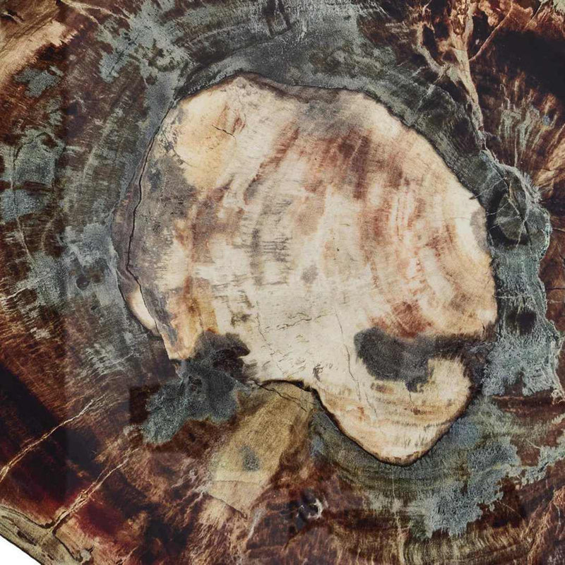 Close-up of Fossil coaster in multi by Kim Seybert, textured modern tabletop design in gift box