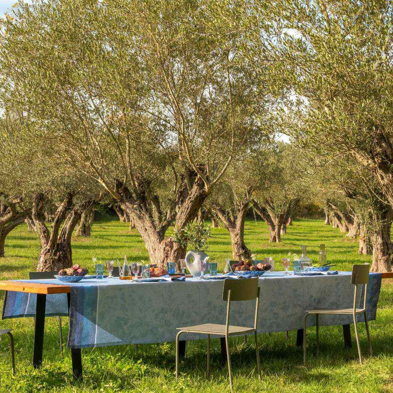 Dining table set for a meal in an olive grove