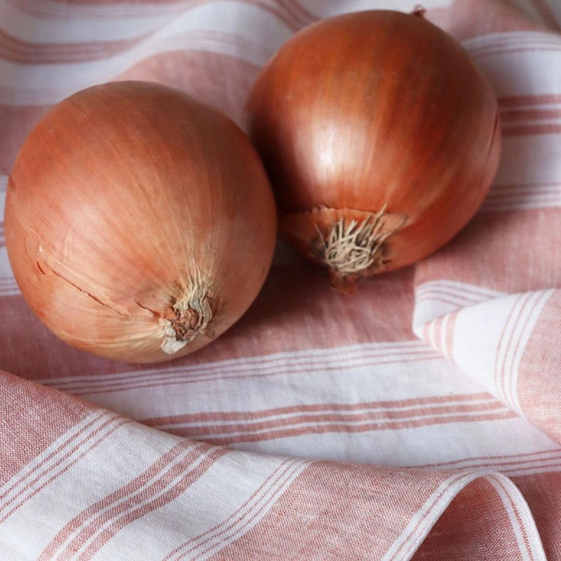 Two onions on a striped fabric background