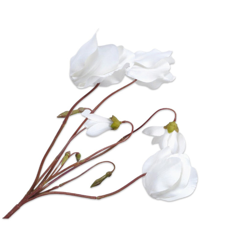 Handcrafted artificial cyclamen bush in white made from waxed silk by Silk-ka, from the Flowers For Life collection by Amiramour.