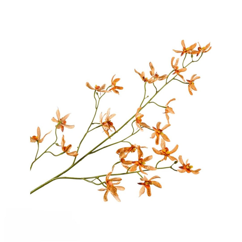 Handcrafted artificial Oncidium orchid spray in orange made from waxed silk by Silk-ka, from the Flowers For Life collection by Amiramour.