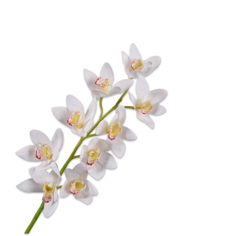 Silk-ka artificial Cymbidium orchid spray in cream, handcrafted from waxed silk, part of the Flowers For Life collection by Amiramour.
