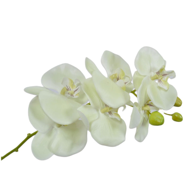 Handcrafted artificial orchid stem in white green made from waxed silk by Silk-ka, part of the Flowers For Life collection by Amiramour.