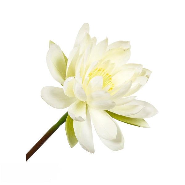 Handcrafted artificial white water lily stem made from waxed silk by Silk-ka, from the Flowers For Life collection by Amiramour.