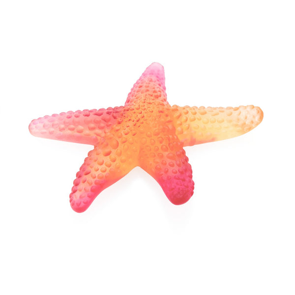 Colorful starfish toy on a white background