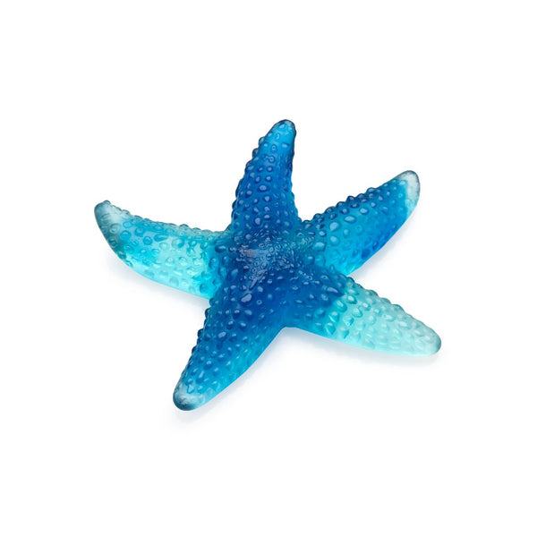 Blue starfish on a white background