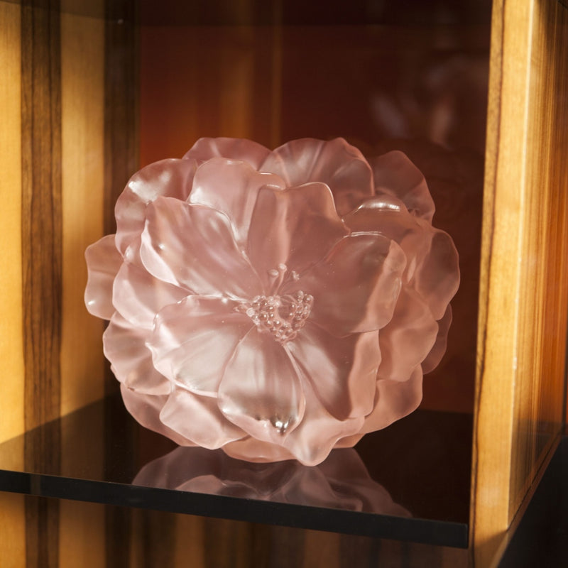 Vase Camelia crystal pink large by Daum, French pâte de verre floral vase in sculpted pink crystal on a shelf
