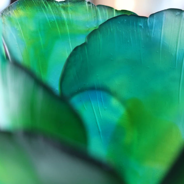 Close-up of a green leaf with a blurred background