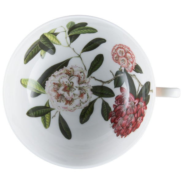 Tea Cup and Saucer Rhododendron - Trésor Fleuri