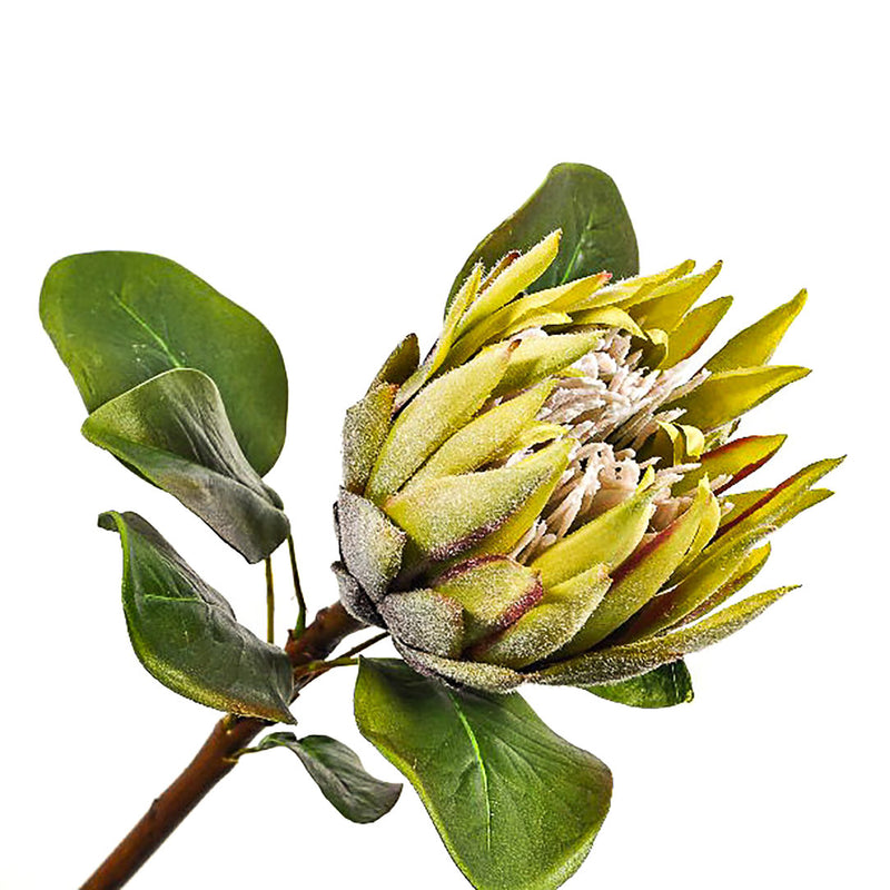 Silk Protea Stem Flower in Green by Silk-ka
