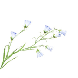Silk Campanula Spray Blue Flower by Silk-ka