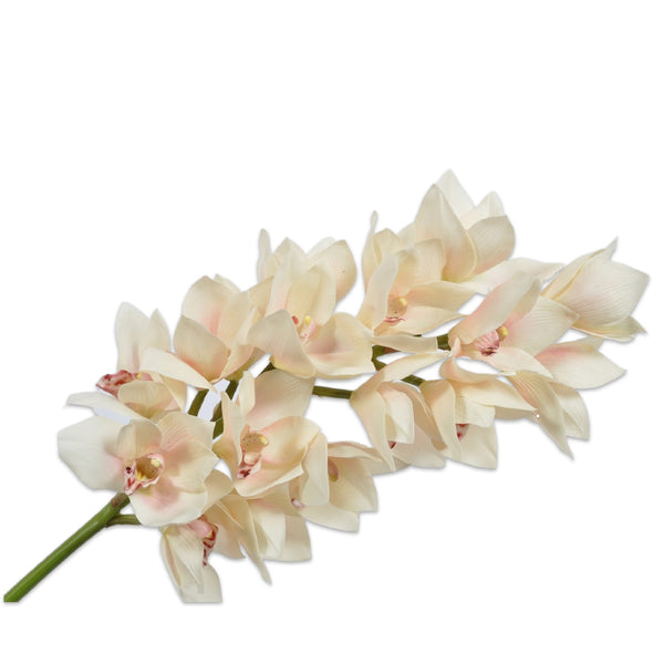 Silk Orchid Cymbidium Stem Flower in Cream by Silk-ka