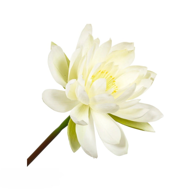 Silk Water Lily Stem Flower in White by Silk-ka