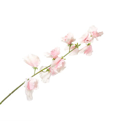 Silk Lathyrus Stem Flower in Light Pink by Silk-ka