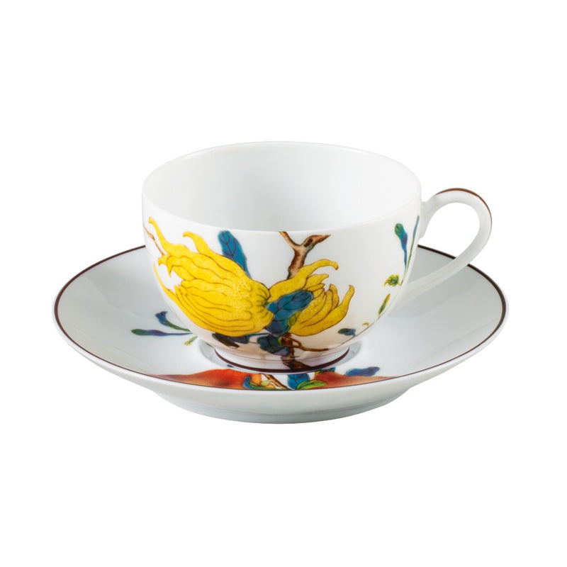 Tea Cup Set Extra with Cup and Saucer - Harmonia