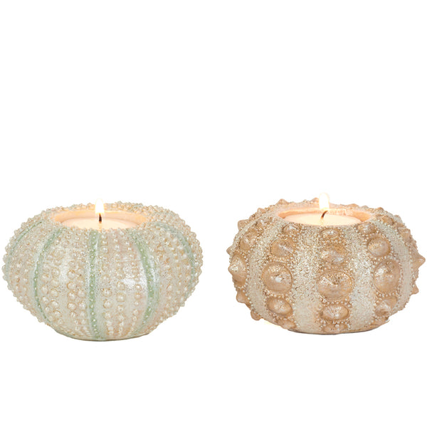 Candle Holder Sea Urchin in White and Pink (Set of 2) 10cm