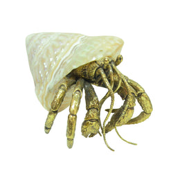 Brass hermit crab sculpture with natural wavy turban shell